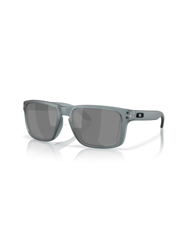 Occhiali da sole OAKLEY HOLBROOK 9102-Z4 Matte Crystal Black Prizm ...