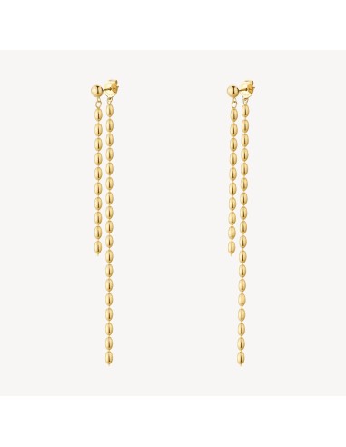 Orecchini pendenti lunghi BROSWAY Essential in Acciaio 316L dorato ...