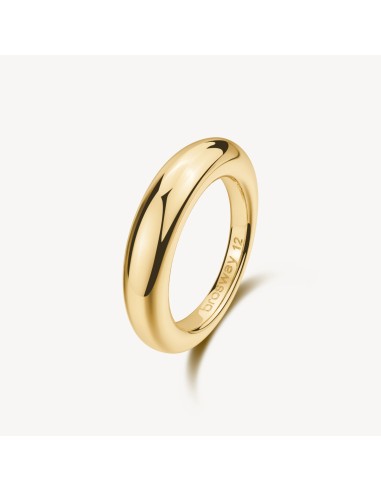 Anello BROSWAY Essential in Acciaio 316L dorato BNL126B Misura 14 o...