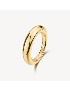 Anello BROSWAY Essential in Acciaio 316L dorato BNL126C Misura 16  ...