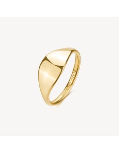 Anello sigillo BROSWAY Essential in Acciaio 316L dorato BNL120B Mis...