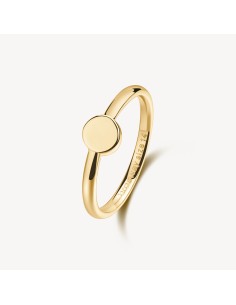 Anello BROSWAY Essential in Acciaio 316L dorato BNL124B Misura 14  ...