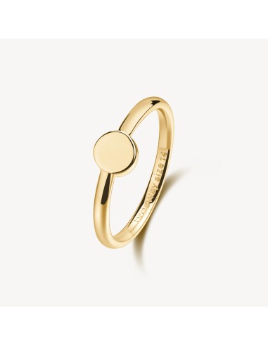 Anello BROSWAY Essential in Acciaio 316L dorato BNL124B Misura 14 o...