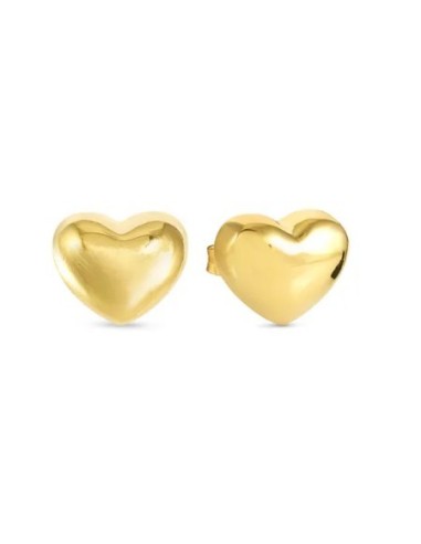 Orecchini NOMINATION Armonica in argento 925 dorato CUORE GRANDE 24...