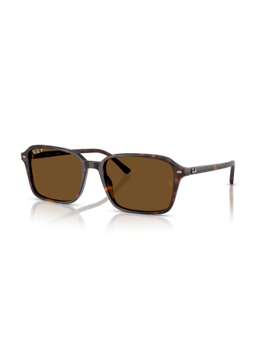 Occhiali sole RAY-BAN Raimond RB2231 902/57 58 Havana Polar Brown o...