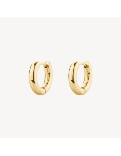 Orecchini a cerchietto BROSWAY Perfect BPC43 in acciaio 316L dorato...