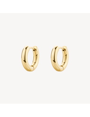 Orecchini a cerchietto BROSWAY Perfect BPC43 in acciaio 316L dorato...