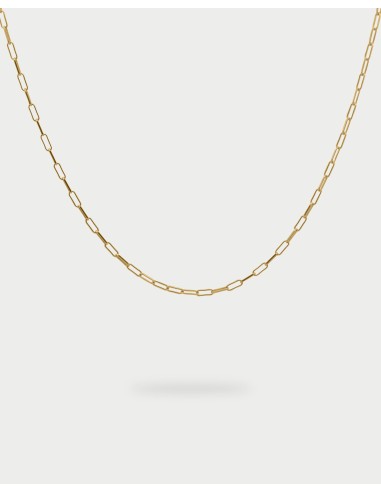Girocollo link chain Base RUE DES MILLE Charmbar in argento 925 dor...