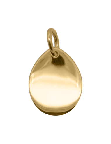 Charm Medaglia Drop RUE DES MILLE Charmbar in argento 925 dorato CB...