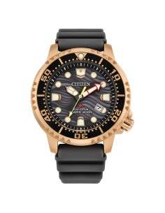 Orologio CITIZEN Diver's Eco Drive 200 mt BN0163-00H Grey con cintu...