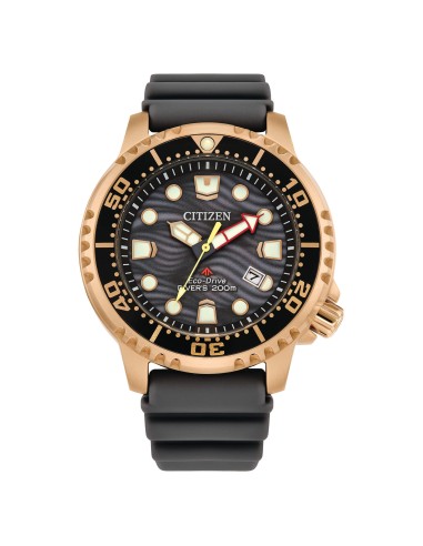Orologio CITIZEN Diver's Eco Drive 200 mt BN0163-00H Grey con cintu...