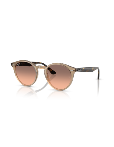 Occhiali sole RAY-BAN RB2180 678846 49 Turtle Pink Gradient Grey on...