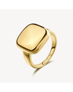 Anello BROSWAY Muse BUE32B  in acciaio dorato 316L Misura 14