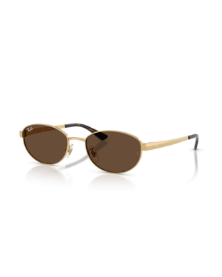 Occhiali sole RAY-BAN RB3774D 001/73 55 Arista Dark Brown