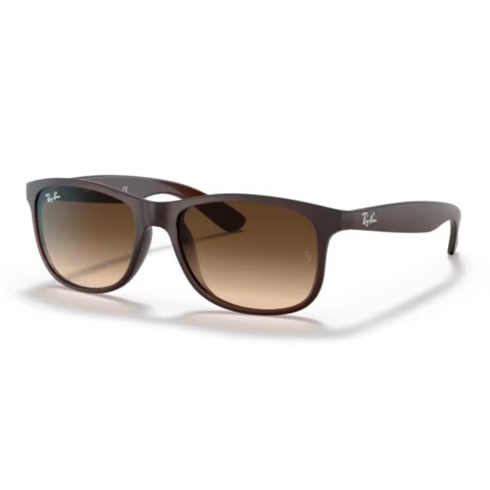 Occhiali sole RAY-BAN Andy RB4202 607313 55 Matte Brown On Brown Brown Gradient