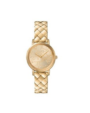 Orologio ALVIERO MARTINI 1700574 Gold con cinturino in acciaio dorato