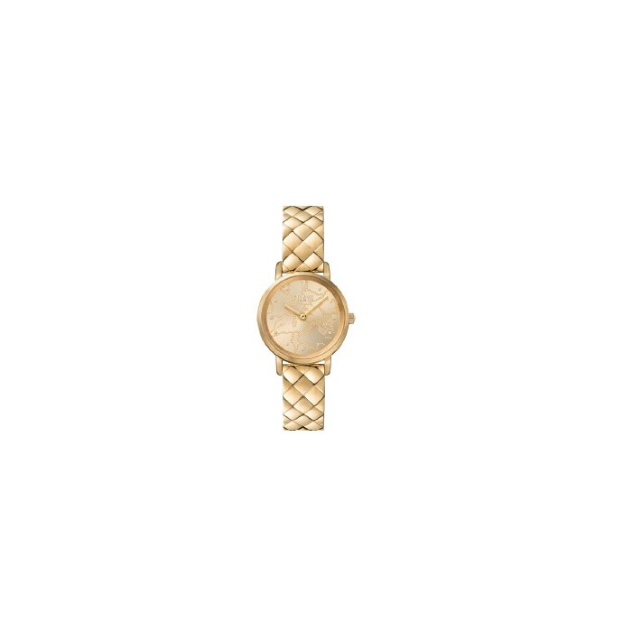 Orologio ALVIERO MARTINI 1700574 Gold con cinturino in acciaio dorato
