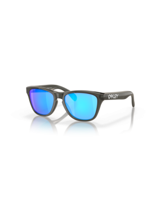 Occhiali da sole OAKLEY FROGSKINS XXS OJ9009-02 JUNIOR Grey Prizm Sapphire 48